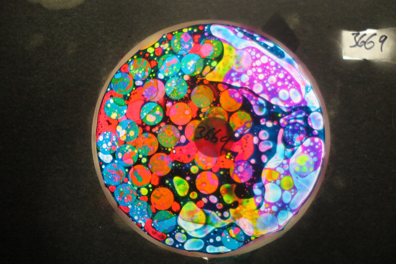 BV3669 bubble vision oil wheel